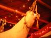 DSCN0958.jpg