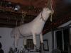 DSCN0960.jpg