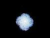 DSCN0994.jpg