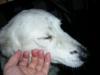 DSCN1034.jpg