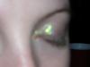 DSCN1220.jpg