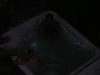 DSCN1350.jpg