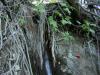 DSCN1186.jpg