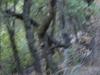 DSCN1188.jpg