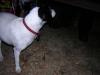 DSCN1143.jpg